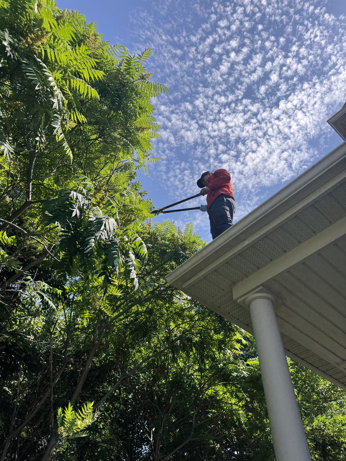 Gutter cleaning and debris removal Collingwood