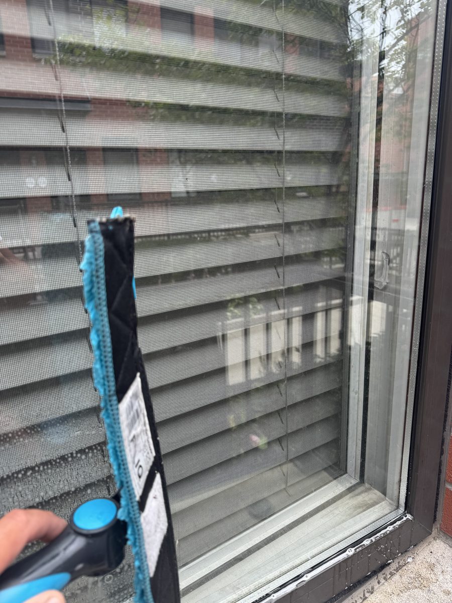 Squeegee detail on window cleaning
